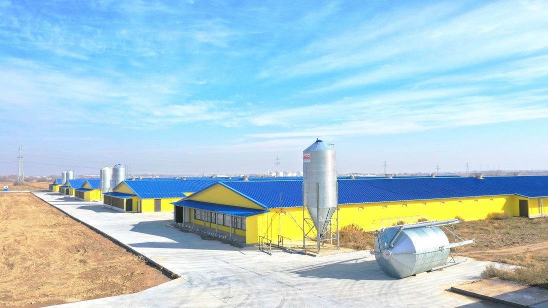 Новый комплекс птичников в Казахстане построен из сэндвич-панелей и холодильных дверей «ПрофХолода» 