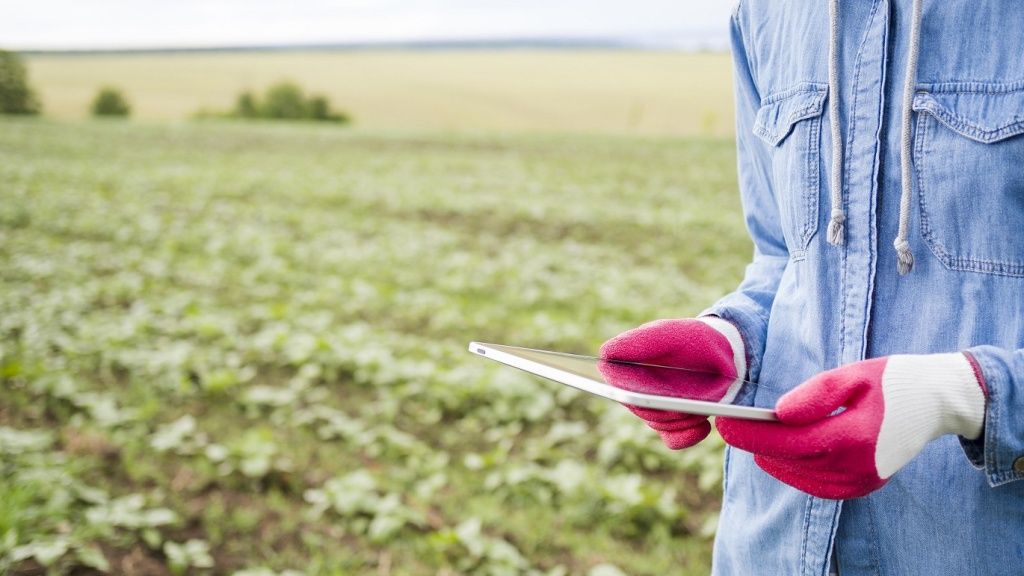 woman-holding-tablet-farm-field.jpg