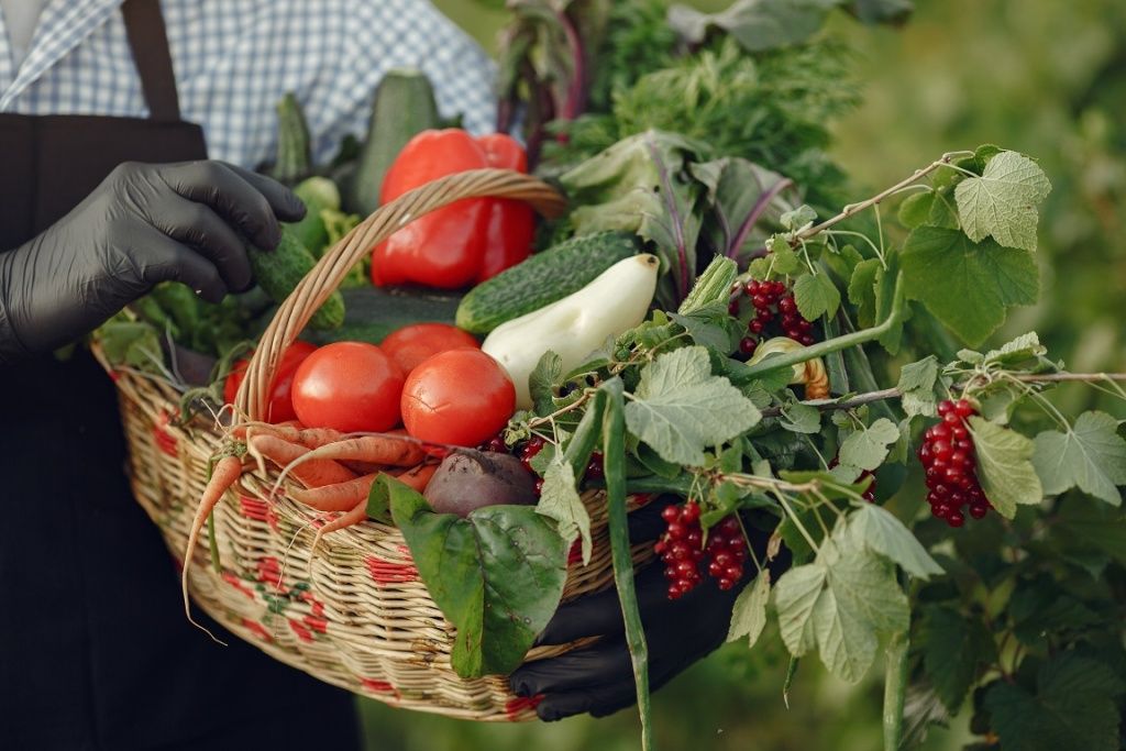 close-up-old-farmer-holding-basket-vegetables-man-is-standing-garden-senior-black-apron.jpg