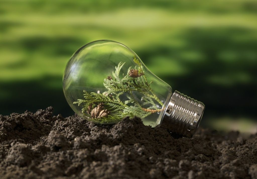 sustainable-development-goals-still-life.jpg