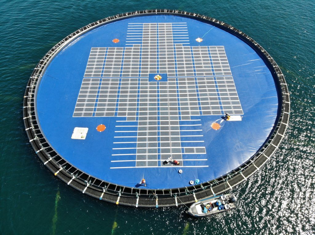 ocean-sun-to-deliver-floating-solar-plant-for-statkraft-in-albania-1024x767.jpg