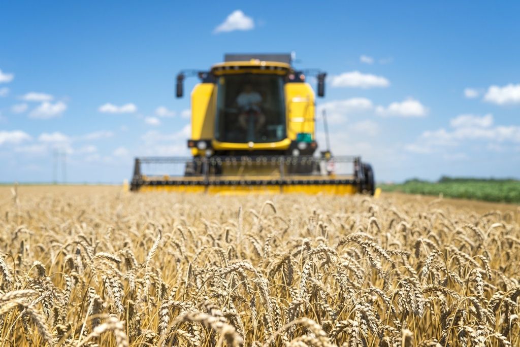 combine-harvester-working-field.jpg